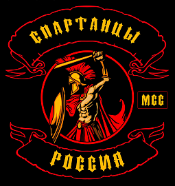 Спартанцы МСС, Курск
