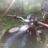купить Ducati m900