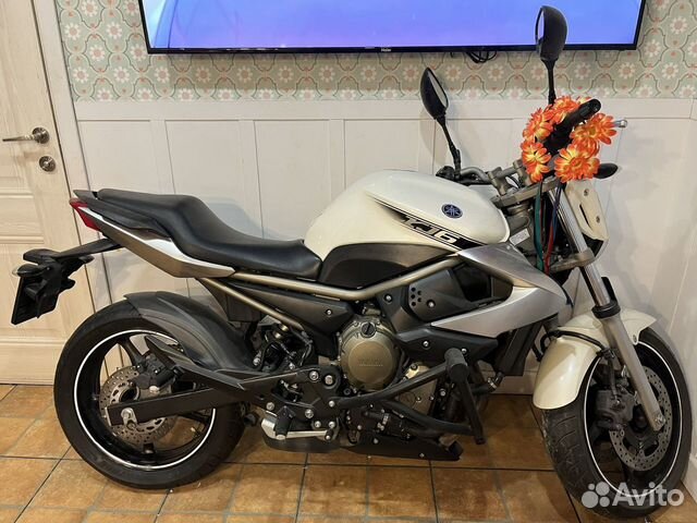 купить Мотоцикл Yamaha xj6n