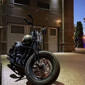 купить Harley Davidson Softail Slim S CVO Springer
